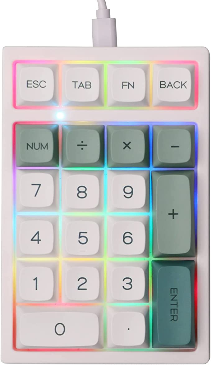 EPOMAKER TH21 21 Keys Hot Swappable Wired Numpad with RGB Backlight, Programmable,XDA Profile PBT Keycaps for Win/Mac Budgerigar Switch