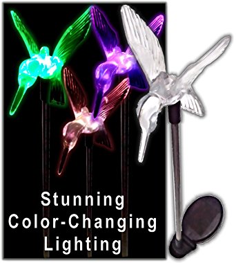 Stunning Acrylic Solar Hummingbird light stake (Box of 2)