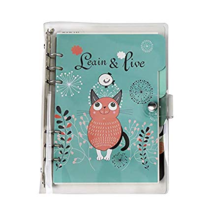 A5 Loose Leaf Binder Filofax Notebook/Planner, Transparent 6-Ring Binder Covers   80pcs Insert Pages   6 Index Divider Tabs   1 Pcs Ruler   1 Clear Page Maker   1 Ziplock Pouch Included 5 Tape (A6)