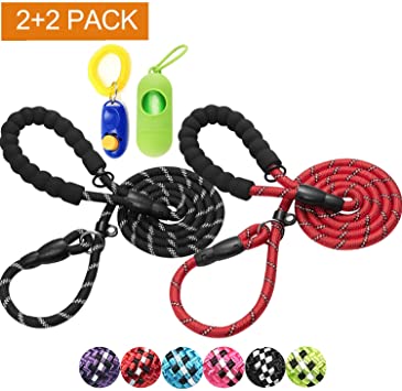 haapaw 2 Packs Slip Lead Dog Leash with Comfortable Padded Handle Reflective, Mountain Climbing Rope Dog Training Leashes for Large Medium Small Dogs(6 FT)
