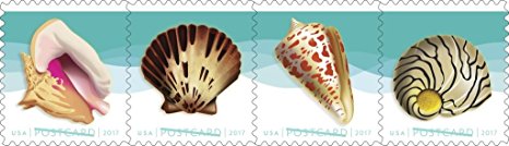 Seashells Postcard Stamp USPS Forever Stamps, Roll of 100 - US Postage Card Stamps