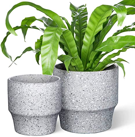 MUDEELA Ceramic Plant Pots, 6.5   5 inch Succulent Pots, Indoor Outdoor Ceramic Flower Pot with Drainage Hole and Plugs, Small Succulent Planters, Set of 2, Plants Not Included