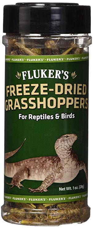 Fluker's Freeze-Dried Grasshoppers