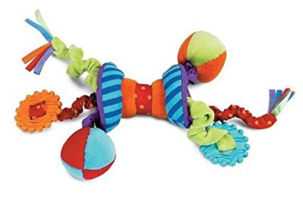 Manhattan Toy Ziggles Rattle and Teether Developmental Toy