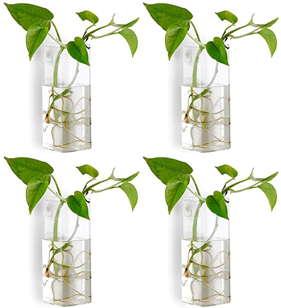 Nuptio Pcs of 4 Crystal Glass Wall Hanging Flower Vase Planter Terrarium Container Flower Pot
