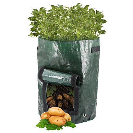 Zaker Potato Grow Bag (2 Pack)- Garden Planter Bag Vegetables Grow Bag with Handles and Access Flap for Harvesting