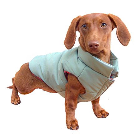 DJANGO Puffer Dog Jacket and Reversible Cold Weather Dog Coat with Full Coverage and Windproof Protection