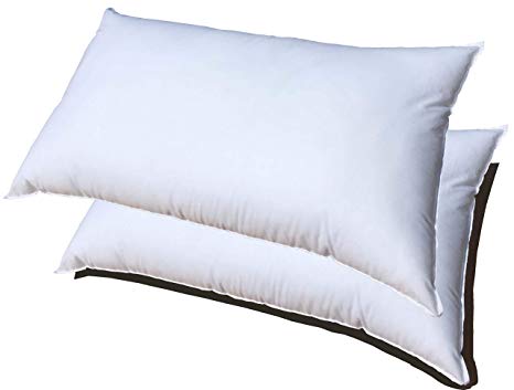 Pillowflex Premium Polyester Filled Pillow Form Inserts - Machine Washable - Oblong Rectangle - Made in USA (12x18 Pack of 2)