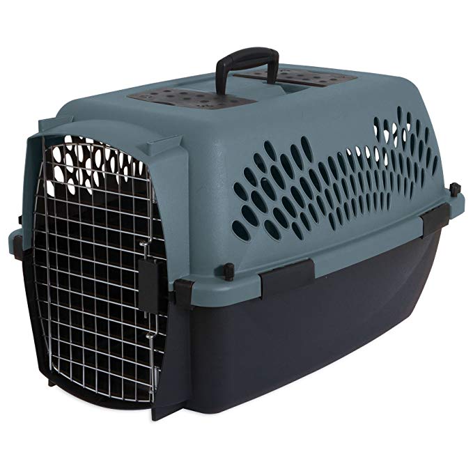 Aspen Pet Porter Heavy-Duty Pet Carrier