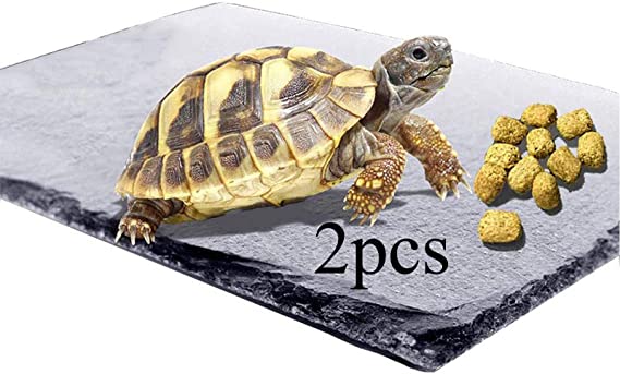 2 pcs Reptile Basking Platform Tortoise Rock Plate Turtle Bathing Area Feeding Food Dish Resting Terrace