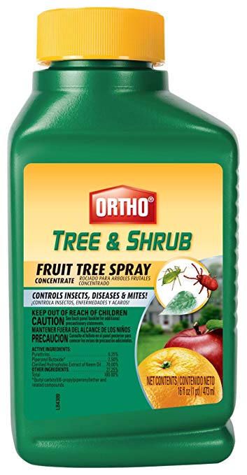 Ortho Tree & Shrub Fruit Tree Spray, 16-Ounce