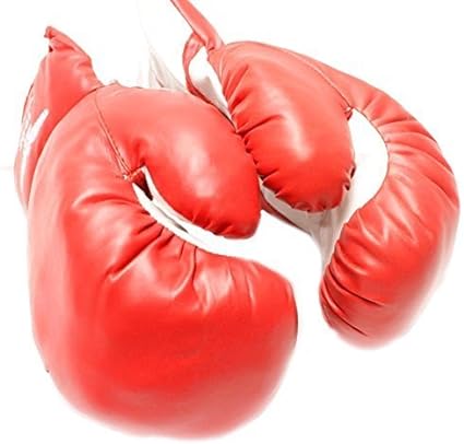 1 Pair of New Boxing/Punching Gloves and Fitness Training : Red - 16oz