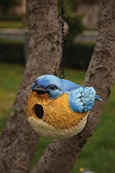 Portly Bluebird - Birdhouse