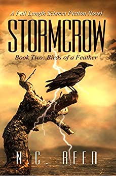Stormcrow: Book Two: Birds of a Feather
