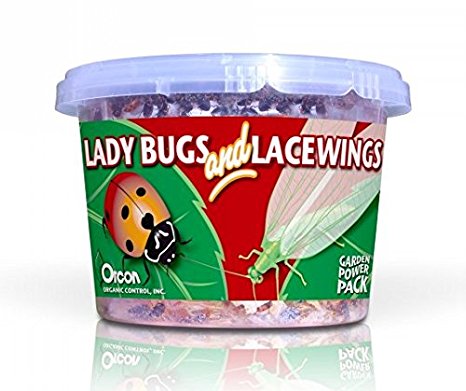 Orcon LLR500 Ladybugs and Lacewings 500 live adult Ladybugs and 1000 lacewing eggs
