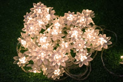 LED String Lights 4M/13feet 40 LED Lotus Flower for Chrismas, Party, Wedding, Indoor, Garden Décor (Warm white)