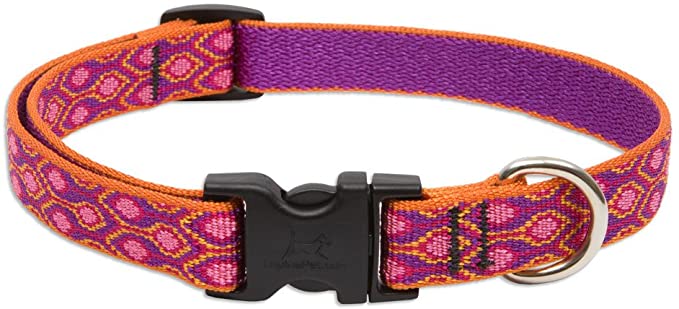 Lupine Alpen Glow Adjustable Dog Collar for Small to Medium Dogs