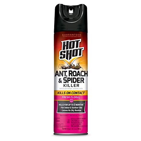 Hot Shot HG-96781 Ant, Roach & Spider Killer Insecticide, Brown/A