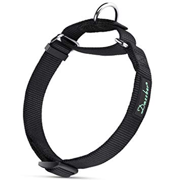 Dazzber Solid Color Nylon Dog Collar No Pull, Strong and Durable, Correction and Training Martingale Collars for Small to Large Dogs,Easy to Control
