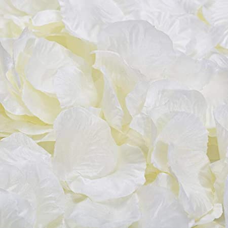 Haobase 1000pcs Ivory Silk Rose Petals