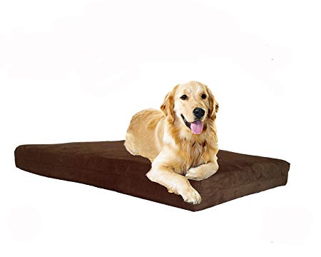 Back Support Systems Pet Support Systems Dog Beds - Orthopedic Memory Foam - 100% Made in USA - Luxury Large Breed Washable Pet Bed