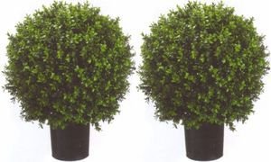 Two 2 Foot Outdoor Artificial Boxwood Ball Topiary Bushes Potted Uv Rated Plants 18 inches Wide