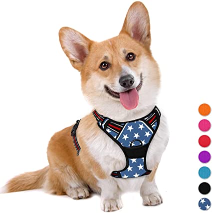 BARKBAY No Pull Dog Harness Large Step in Reflective Dog Harness with Front Clip and Easy Control Handle for Walking Training Running