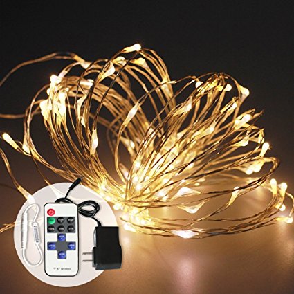 LED String Lights White with Remote and Power Adapter Dimmable LED String 12V 16Ft 50 LED for Christmas Party Wedding Bedroom Holiday (Warm White, Waterproof)