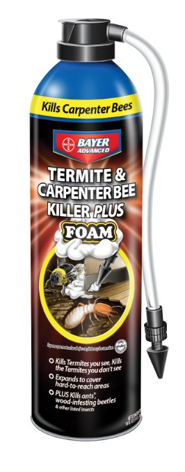Bayer Advanced Termite and Carpenter Bee Killer Plus Foam