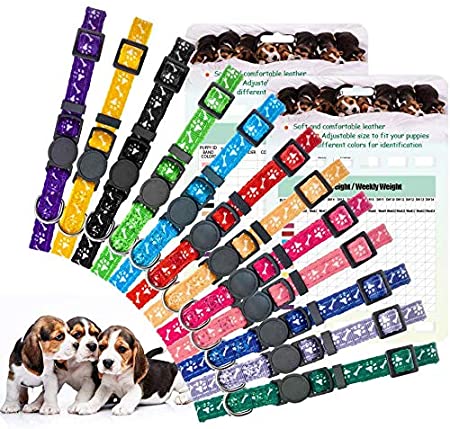 EXPAWLORER 12 Pack Puppy ID Collar - Whelping Collars for Puppies with Record Keeping Charts, Adjustable Identification Breakaway Safety Litter Collars with Bells for Newborn Small Dogs Pets