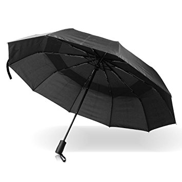 Pomelo Best Auto Open / Close Compact Umbrella, 10 Fiberglass Ribs