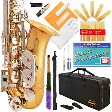 360-LN - GOLD Body/Silver Keys Eb E Flat Alto Saxophone Sax Lazarro 11 Reeds,Music Pocketbook,Case,Care Kit - 24 Colors with Silver or Gold Keys