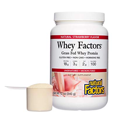 Natural Factors - Whey Factors, 100% Natural Whey Protein, Strawberry, 17 Servings (12 oz)