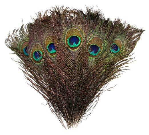 Blisstime® High Quality Natural Peacock Feathers 10"-12" (100)