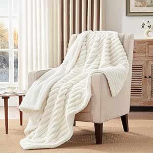 Westinghouse Electric Blanket Heated Throw, Super Cozy Luxury Faux Fur & Sherpa with 6 Heating Levels & 2-10 Hours Auto Off, Fast Heating & Overheat Protection, 50x60 Inch, Beige