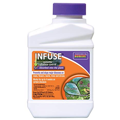 Bonide 148 Infuse System Fungicide, Pint