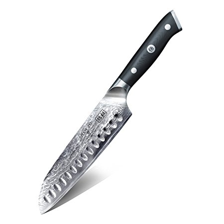 SHAN ZU Santoku Knife 7 inches Professional Chef Knife 67 Layer Damascus Steel Knife with G10 Handle