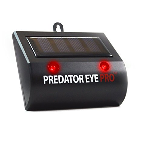 Aspectek Predator Eye Pro Night and Day Solar Animal Repeller, Animal Deterrent Light Night Guard Protects from Nocturnal Animals, Bird, , Raccoon, Owls, Wolves, Deer, Fox