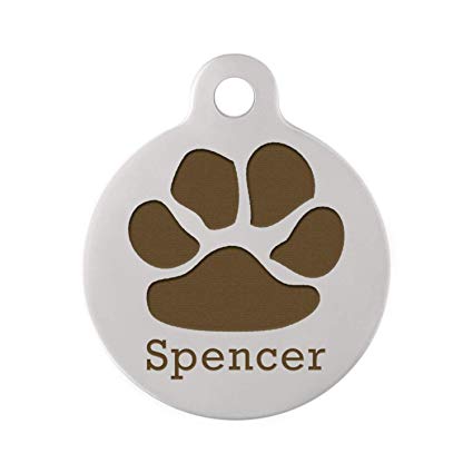 Personalized Laser Engraved Paw Print Dog ID Tags with Free S-Hook and Split Ring (1 1/4 in, Stainless Steel)