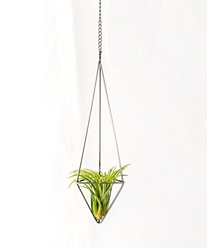 Mkono 1 Pack Hanging Air Plant Holder Himmeli for Tillandsia Airplants Display (with Chains), Bronze