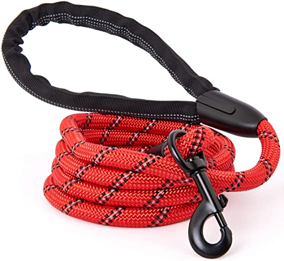 Strong Dog Leash, Reflective Rope, Chew Resistant Paracord for Medium and Large Dogs, Durable Metal Clasp, Attaches to Pet Collar (1 Pack) (6 Foot, Red)