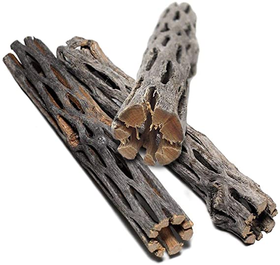 SunGrow Cholla Wood, 5 Inches Long, Aquarium Decoration and Chew Toys for Small Pets, Artistic Home-Decor, Long Lasting Driftwood