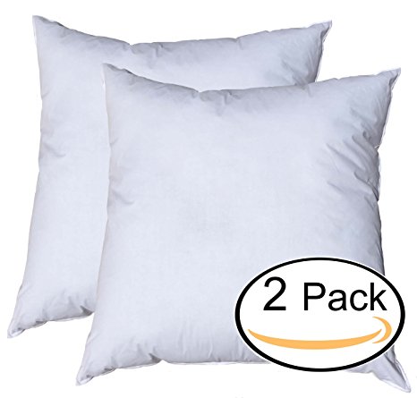 Pillowflex Premium Polyester Filled Pillow Form Inserts - Machine Washable - European Square - Made In USA (28x28 Pack of 2)