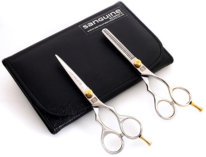 Set of Hair Scissors and Hairdressing Thinning Scissors, 5.5 inch, Presentation Case