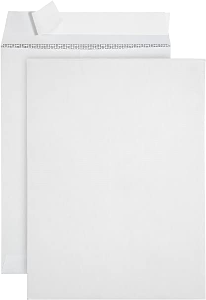 100 9 X 12 SELF Seal Security Catalog Envelopes- Designed for Secure Mailing- Securely Holds up to 60 Sheets of Paper with Strong Peel and Seal Flap (100 Envelopes)