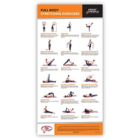 Stretching Strap for Yoga and Rehabilitation or Laminated Stretch Poster with Exercises