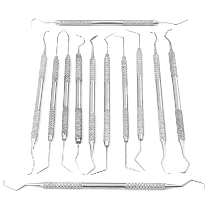 LAJA Imports 12 Piece Dental Probe Pick Tool Instrument Set Stainless Steel Scaler PR-296