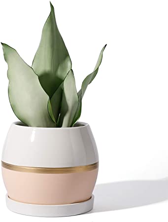 POTEY Ceramic Planter Flower Plant Pot - 5.1” with Drain Hole Saucer-Enough Space - Modern Decorative for Iindoor Planters-White with Gold and Pink Detailing