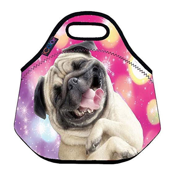iColor Happy Pug Insulated Neoprene Kids Lunch Bag - Great Gift for Boys, Girls HST-LB-054