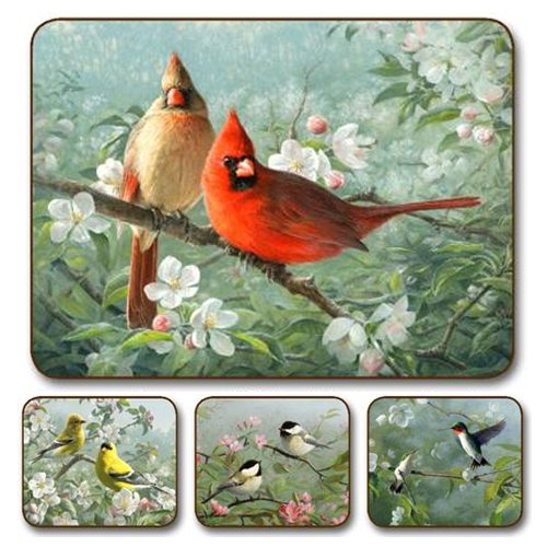 Jason Garden Birds Placemats - Set of 4 (Large)